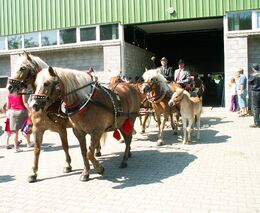 ANIMAL TECH a Národní výstava hospodářských zvířat se přesouvají na září