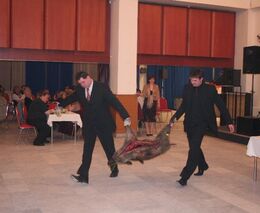 Střípky z 2.reprezentačního selského plesu