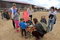 Selské slavnosti na Farmě u lesa přilákaly tisíce návštěvníků