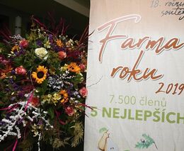 Farma roku 2019 hledáčkem fotoaparátu