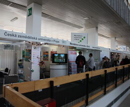 Příprava brněnských zemědělských a lesnických veletrhů pokračuje