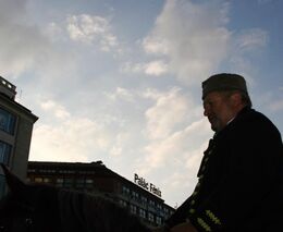 Očima přímého účastníka Selské jízdy 