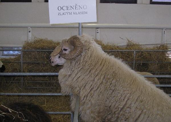 Fotografie z výstavy Země Živitelka 2007