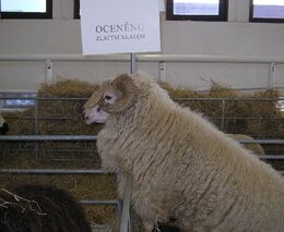 Fotografie z výstavy Země Živitelka 2007