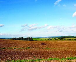 První návštěva benešovského „Polabí“