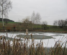Jak se hospodaří na úpatí České Sibiře