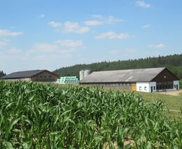 Dolní Rakousko očima členů ASZ Benešov