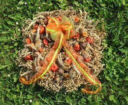 Pozvánka na tradiční Dožínkové setkání ASZ Louny