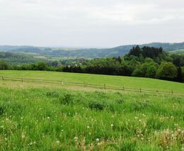 Z další cesty po Vlašimsku