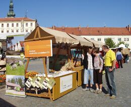 Po letech se do Vyškova vrátila oslava dožínek