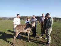 Chovatelé farmové zvěře nezahálejí ani letos