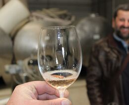 Z jihu Čech nejen za dobrým vínem