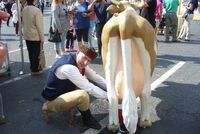 Tradiční oslavy sklizně ve všech koutech naší vlasti