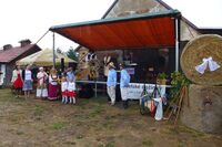 Tradiční oslavy sklizně ve všech koutech naší vlasti