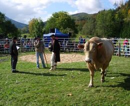 Desátý ročník euroregionálního jarmarku