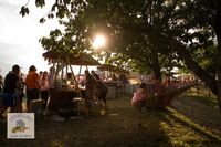 Levandulový festival na statku v Bezděkově