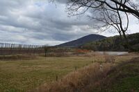 Europoslankyně Michaela Šojdrová navštívila farmáře v Ústeckém kraji