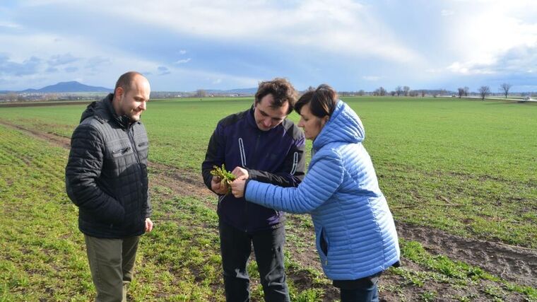 Očekávám, že nová vláda zastropuje zemědělské dotace, říká europoslankyně Šojdrová