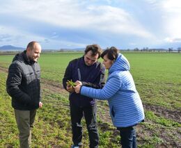 Očekávám, že nová vláda zastropuje zemědělské dotace, říká europoslankyně Šojdrová