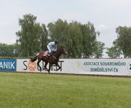 Asociace partnerem Memoriálu Evy Palyzové