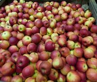 I Hujerových je proti nám málo aneb Druhá farmářská náchodská jízda