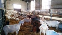 První farmářská náchodská jízda