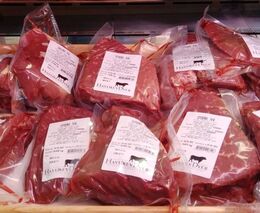 Od 16 jalovic až k vlastní bourárně, aneb navštívili jsme Havlíkův Dvůr