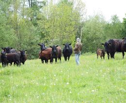 Setkání ve dvoře popáté
