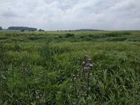 Jak nás inspirovali sedláci v sousedním Rakousku