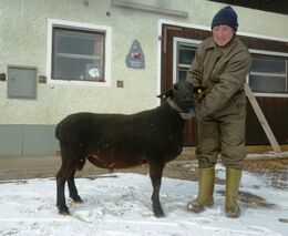 S SCHOK za jurami do Rakouska