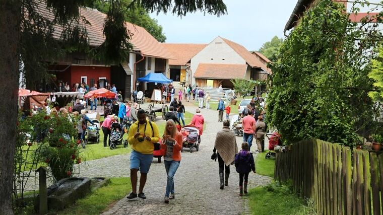 Když se rodinný den na farmě vydaří