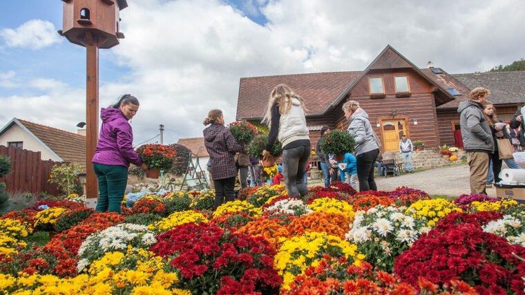 První říjnová sobota ve znamení kvalitních produktů a zábavy