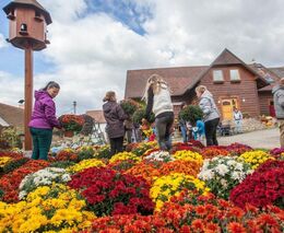 První říjnová sobota ve znamení kvalitních produktů a zábavy
