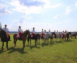 Kdo přišel, neprohloupil…