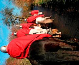 Založení nové tradice svatomartinského průvodu