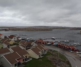 Za domácími porážkami jelenovitých ve Švédsku  