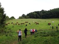 Rodinné farmy dětem nejen v letošním roce!