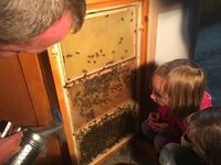 Rodinné farmy dětem nejen v letošním roce!