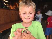 Rodinné farmy dětem nejen v letošním roce!