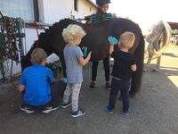 Rodinné farmy dětem nejen v letošním roce!