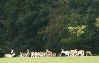 19. výroční valná hromada Asociace farmových chovů jelenovitých ČR