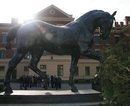 Sedláci na exkurzi v Zemském hřebčinci Písek   