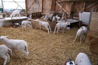 Inspirativní České středohoří