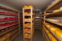 Inspirativní České středohoří