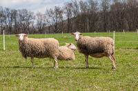 Inspirativní České středohoří