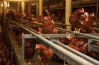 Zdaleka nejen za rostlinkou do úrodného Polabí