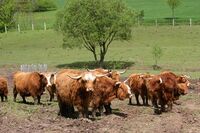 Zdaleka nejen za rostlinkou do úrodného Polabí