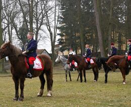 Žehnání koním – videozáznam z akce 