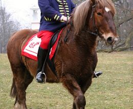 Poděkování sedlákům 