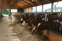 Letošní první Farmářské slavnosti odstartují již tuto sobotu v jižních Čechách   